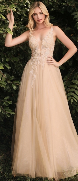 Floor length beaded floral a line tulle gown in mauve pink or blue - Picture 7 of 9